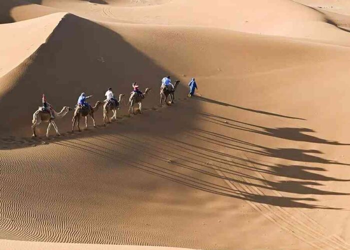 Caravan of camels with riders casting long shadows on sandy dunes during a Marrakech to Fes desert tour.