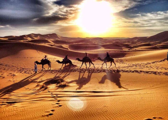 Camel caravan silhouette against the setting sun in the Sahara Desert on a Morocco desert tour.