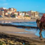 Camel on Taghazout beach with Moroccan village in the background.