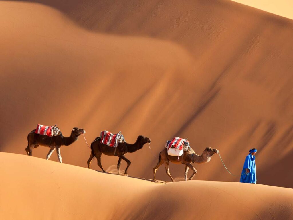 Camel caravan led by a Tuareg guide crossing high sand dunes in the Sahara Desert, illustrating the immense scale and beauty of the desert's landscape.