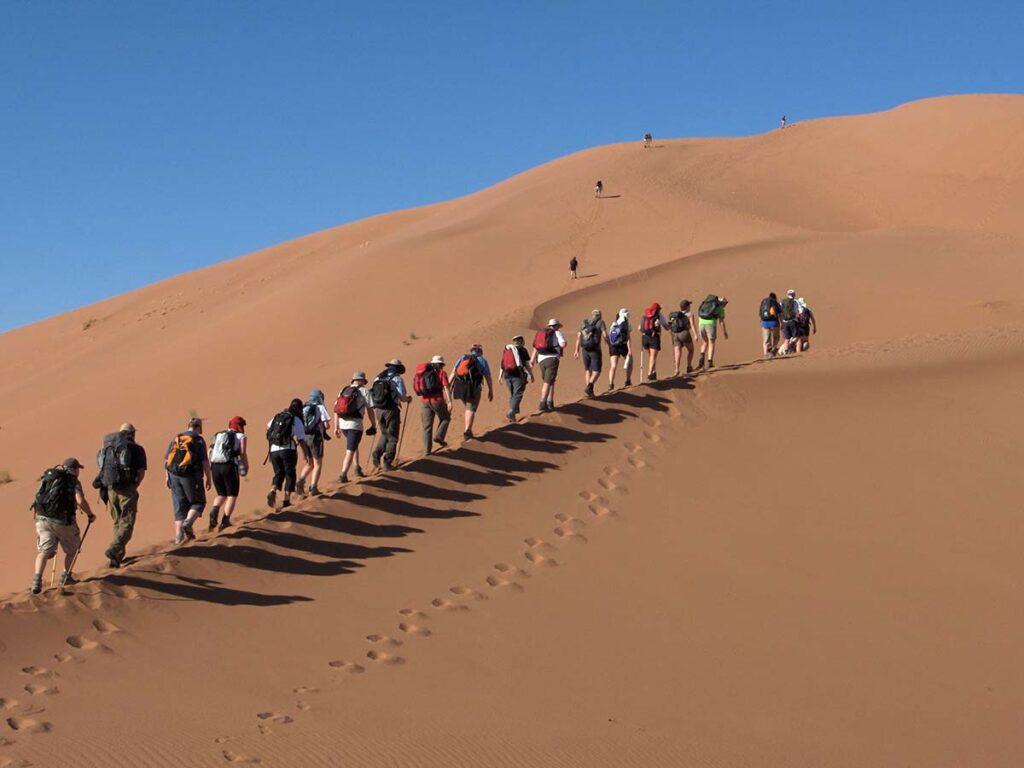 Group of hikers ascending a large sand dune in the Sahara Desert, illustrating popular outdoor activities in this expansive landscape.